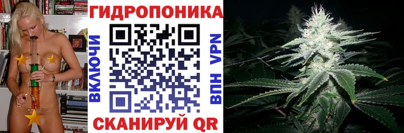 Купить закладку ГАШ  Кокаин  Меф  Галлюциногенные грибы  Бошки Шишки  Бородино