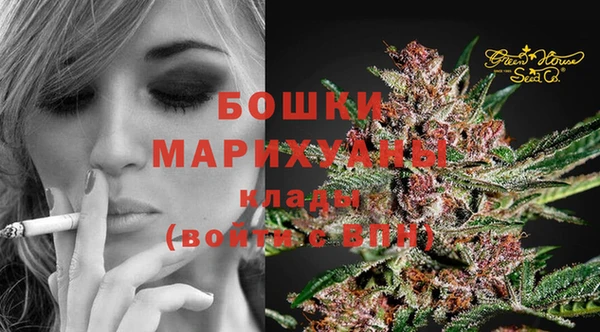сатива Белокуриха