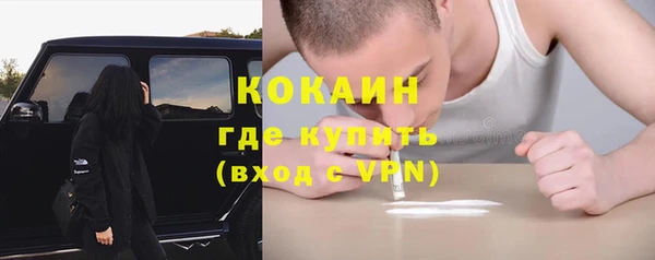 сатива Белокуриха