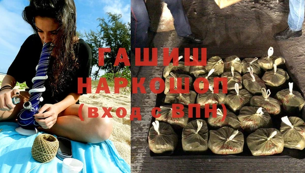гашик Горняк