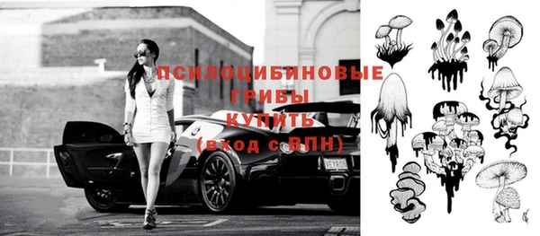 соль ск Беломорск