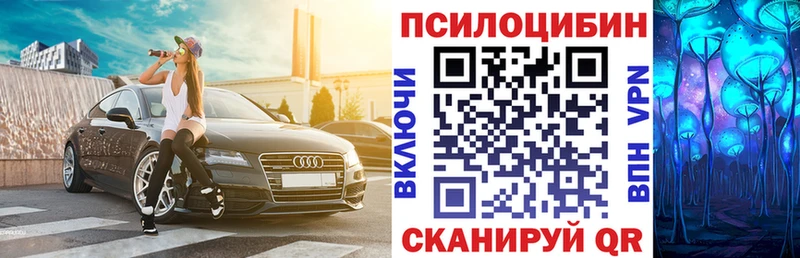 Купить  Бородино  Галлюциногенные грибы Psilocybine cubensis 
